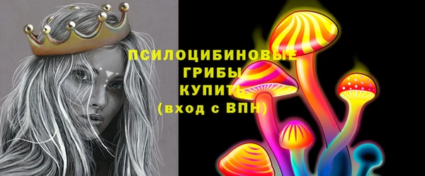 дживик Абаза